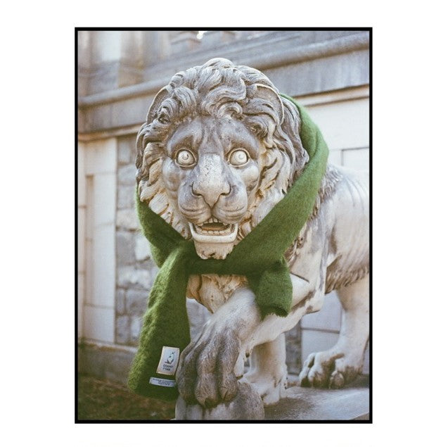 Olive Green Mohair Scarf